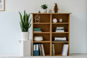 Karton-Bookcase-300x200